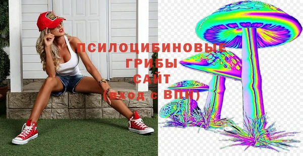 PSILOCYBIN Зерноград