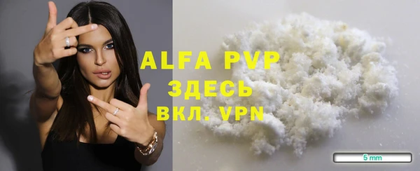 стафф Алексин