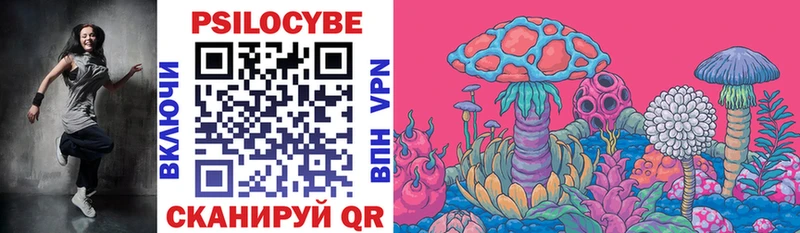 Галлюциногенные грибы Psilocybine cubensis Палласовка